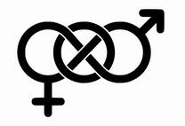 Bisexual